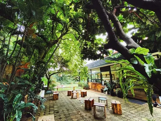 15 Cafe di Bintaro yang Super Cozy dengan Menu yang Enak!
