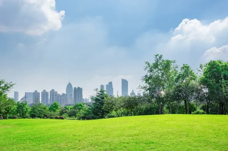 10 Taman di Jakarta Selatan untuk Piknik Cantik