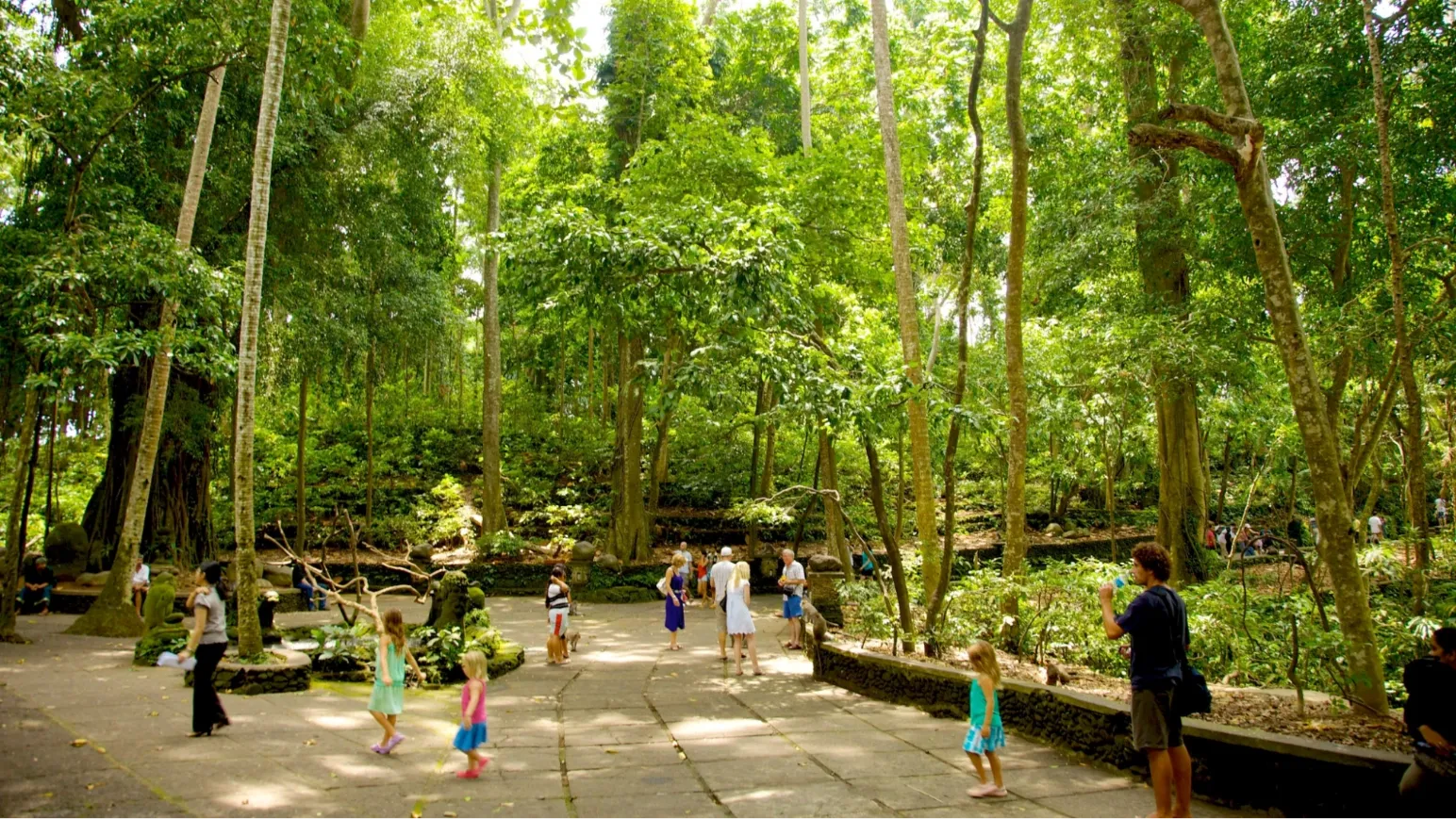 20 Tempat Wisata di Ubud yang Unik dan Wajib Dikunjungi!
