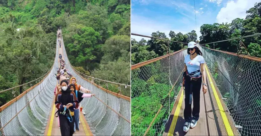 Rengganis Suspension Bridge Bandung : Beginilah Penampakan Jembatan  Terpanjang di Nusantara - Karo Gaul