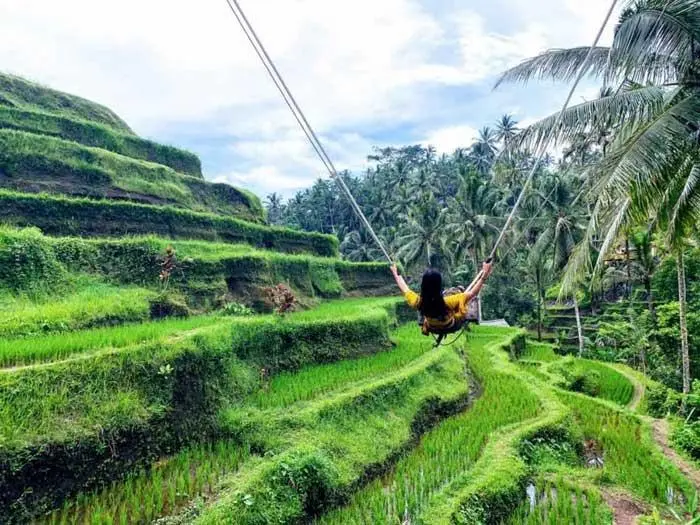 7 Fakta Menarik Tentang Sawah Terasering Tegalalang Bali