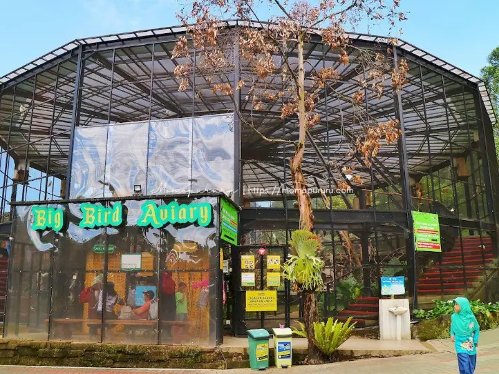 Review Lembang Park & Zoo: Ternyata Bukan Sekedar Kebun Binatang Biasa! -  Momopururu