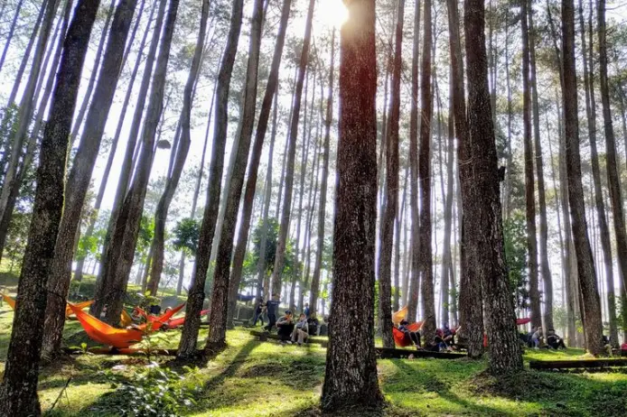 5 Alasan Liburan ke Bandung, Kota Paling Romantis di Jawa Barat